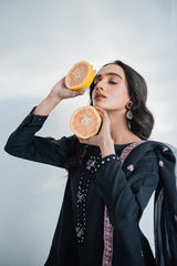 PALWASHAY-2PC(SHIRT & DUPATTA)