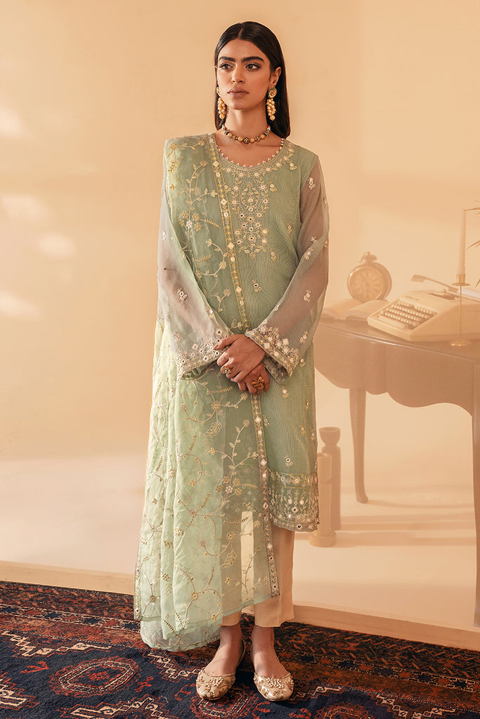 JADE BLAZE NET-2PC(SHIRT & DUPATTA)