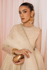 AFSHAN-2PC ORGANZA EMBROIDERED PRET