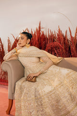 AFSHAN-2PC ORGANZA EMBROIDERED PRET