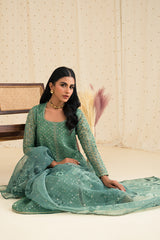 RANG E AFTAB-ORGANZA 2 PIECE