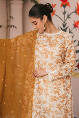 RUSSET ZEAL-2 PIECE (SHIRT AND DUPATTA)