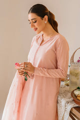 PALE BLUSH-2 PIECE CAMBRIC EMBROIDERED SUIT