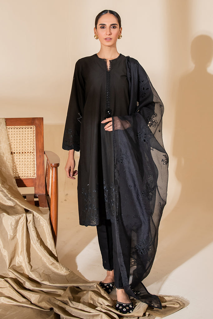 RAVEN MIST-2PC (SHIRT & DUPATTA)