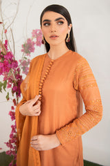 BURNT GLAZE-2PC KHADDI EMBROIDERED SUIT