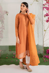 BURNT GLAZE-2PC KHADDI EMBROIDERED SUIT