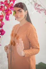 BURNT GLAZE-2PC KHADDI EMBROIDERED SUIT