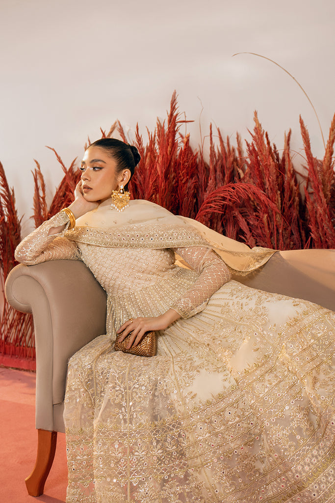 AFSHAN-2PC ORGANZA EMBROIDERED PRET