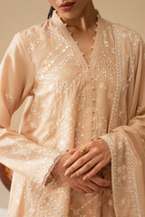 SILVER DUST-3 PIECE EMBROIDERED LAWN SUIT