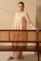 SILVER DUST-3 PIECE EMBROIDERED LAWN SUIT