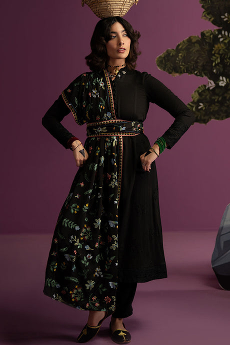 Pakistani Ready to Wear Dresses