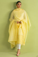 TANGY THREAD-2 PC (SHIRT & DUPATTA)
