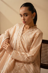 SILVER DUST-3 PIECE EMBROIDERED LAWN SUIT