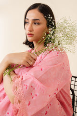 BLUSH HAZE-2 PC PRINTED LAWN SUIT