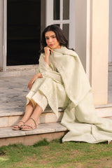 MINT WHISPER-2PC (SHIRT & DUPATTA)