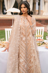 BRONZE BLAZE-3PC ORGANZA EMBROIDERED PRET