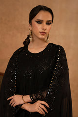 CELESTIAL SHINE-2 PIECE ORGANZA EMBROIDERED SUIT