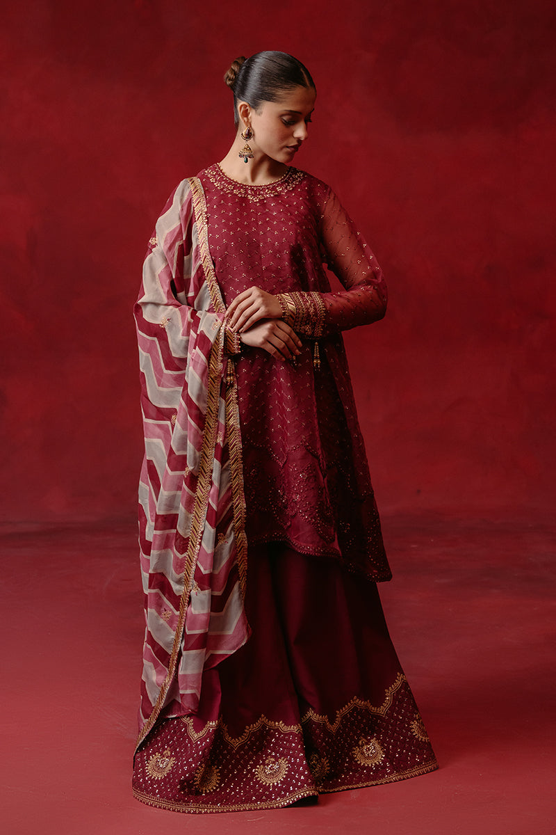 Red Ochre 4-Pc Organza Embroidered Suit