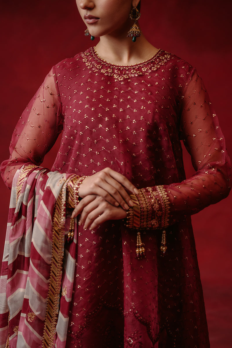 Red Ochre 4-Pc Organza Embroidered Suit