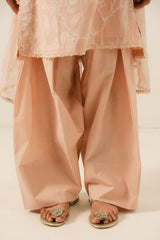 CORAL DUST-3 PC PRINTED LAWN SUIT