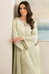SOFT FERN-2PC (SHIRT & DUPATTA)
