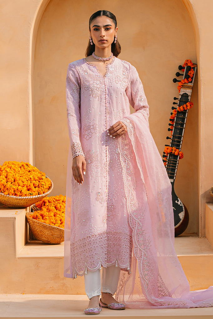 MUTED PINK-2 PIECE ORGANZA EMBROIDERED SUIT