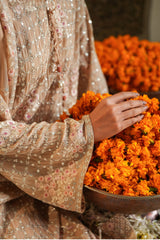 ROSE QUARTZ -2PC (SHIRT & DUPATTA)