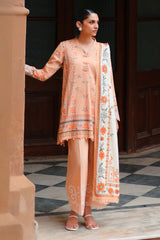 CARMINE GLOW-3PC SATIN PRINTED SUIT