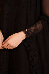 CHANTELLE LACE-3PC CHIKANKARI SUIT