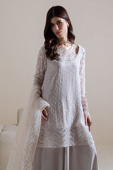 MOONLIT MIST-4PC CHIFFON EMBROIDERED SUIT