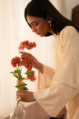 FRENCH GLOW- 3PC EMBROIDERED LAWN SUIT