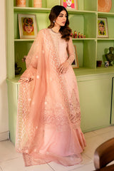 RADIANT GILD-4PC NET EMBROIDERED SUIT