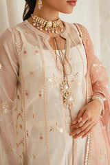 DREAMY TINT-4PC ORGANZA EMBROIDERED SUIT