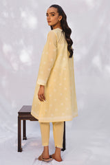 PALE GLAZE-2PC PRINTED LAWN SUIT