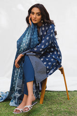 VINTAGE CRAFT-3PC PRINTED LAWN SUIT